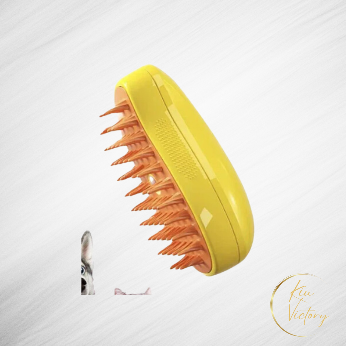 Pet Steam Brush