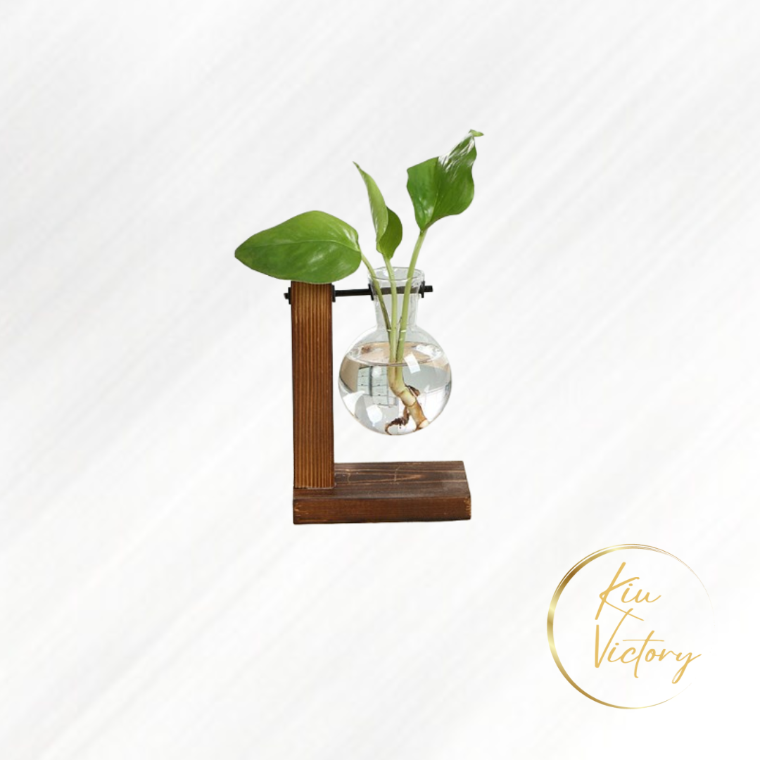 Hydroponic Glass Plant Vase A