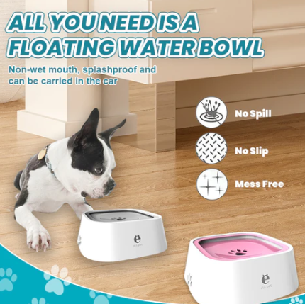 Zero Splash Dog Water Bowl
