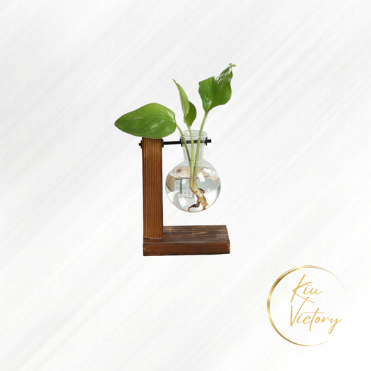 Hydroponic Glass Plant Vase A