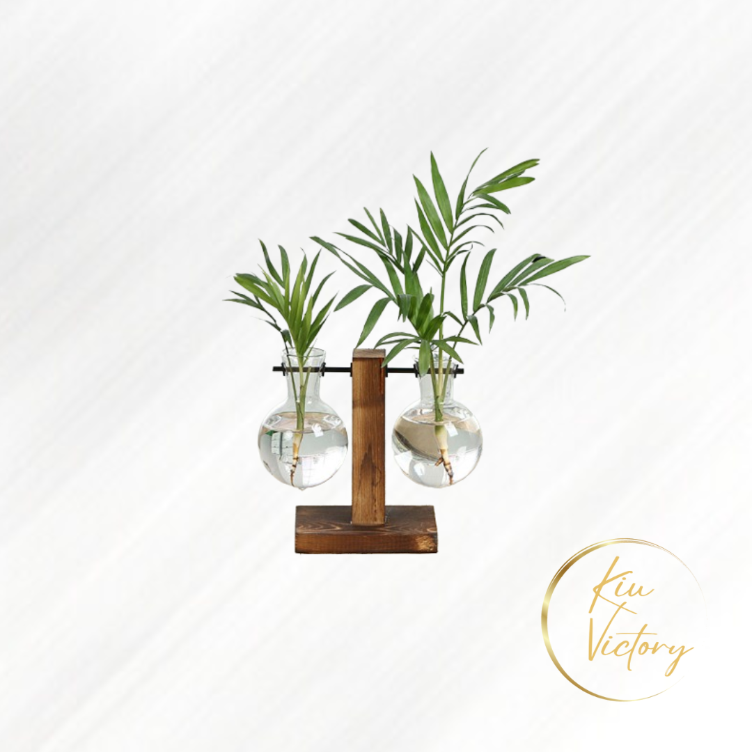 Hydroponic Glass Plant Vase B