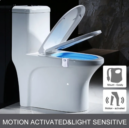 Toilet Seat Lamp