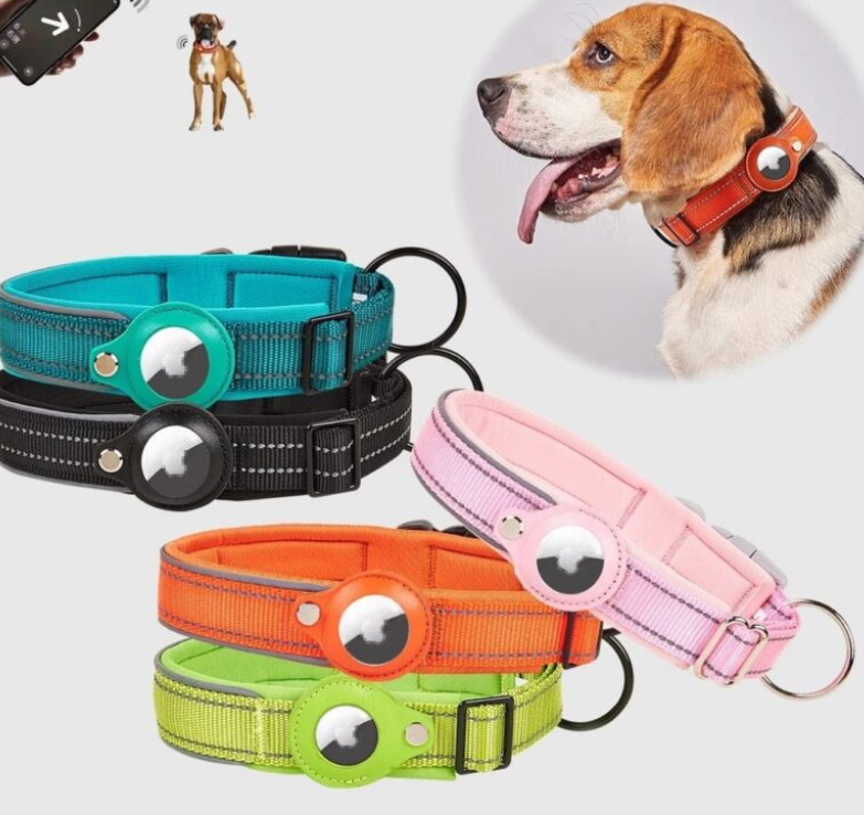 Pet AirTag Tracker