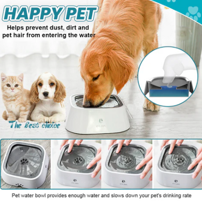 Zero Splash Dog Water Bowl