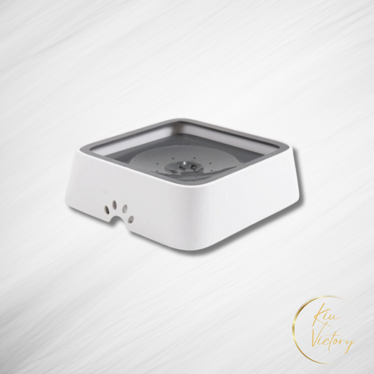 Zero Splash Dog Water Bowl